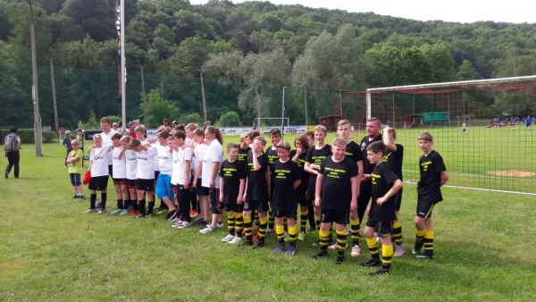 Pokalsieg 2015/16 D-Jugend