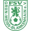 FSV Grün-Weiß Blankenhain