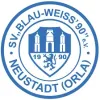 SV BW Neustadt II 