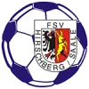 FSV Hirschberg (N)