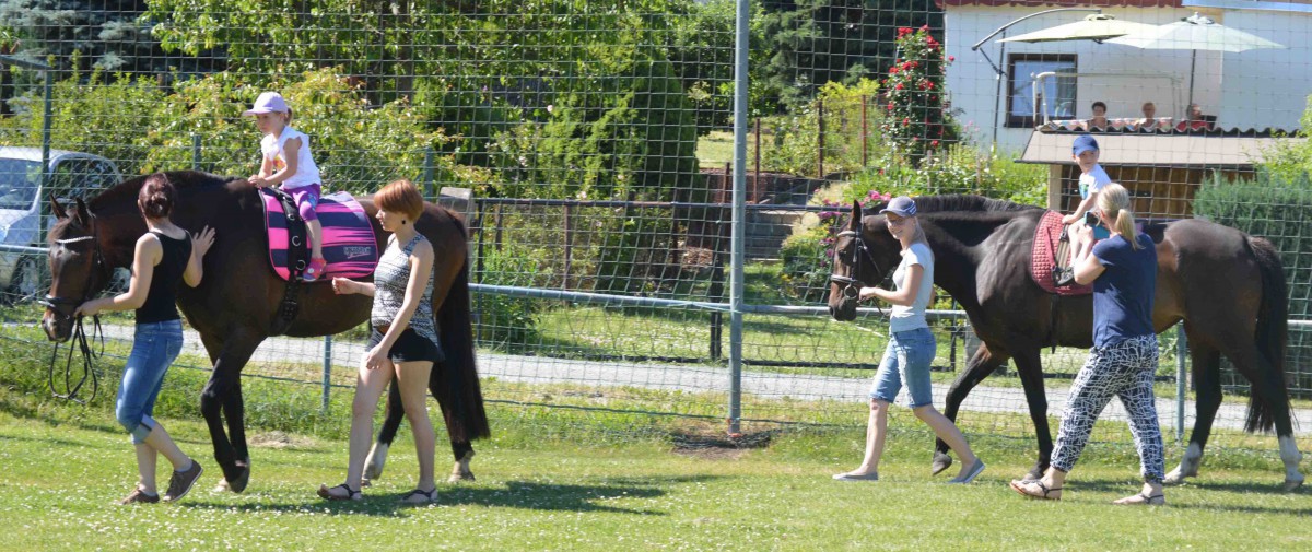 Schnappschüsse vom Vereinsfest 2017