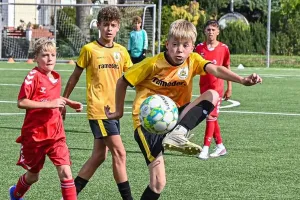 D-Jungs surfen auf der Erfolgswelle: Heimsieg gegen den ZFC Meuselwitz