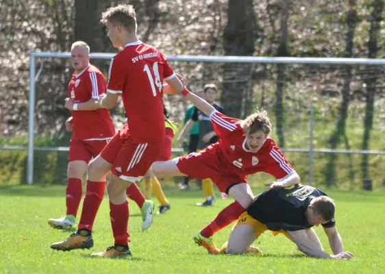 21. Spieltag LK: FSV Schleiz - SV 09 Arnstadt