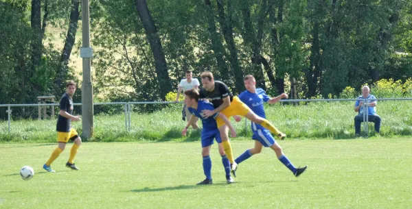 25. Spieltag LK: Sv Gleistal 90 - FSV Schleiz
