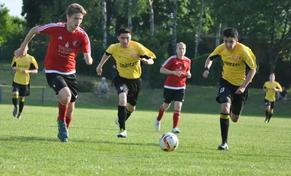 Pokalfinaltag Nachwuchs in Oettersdorf