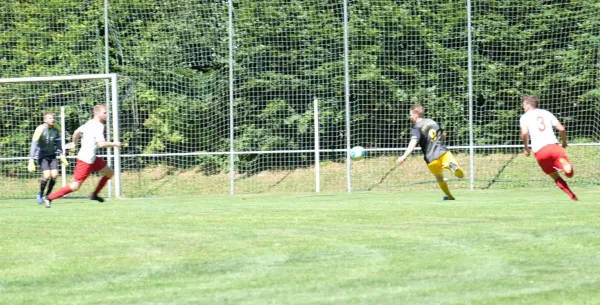 Vorbereitung 2018/19: FSV Schleiz - SV Schott Jena