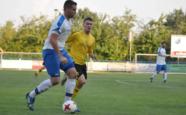 Vorbereitung 18/19 BW Niederpöllnitz - FSV Schleiz