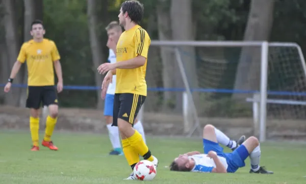 Vorbereitung 18/19 BW Niederpöllnitz - FSV Schleiz