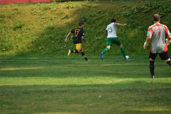 Pokalspiel FSV Schleiz II- SG Union Isserstedt