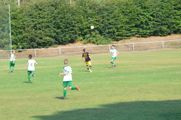 Pokalspiel FSV Schleiz II- SG Union Isserstedt