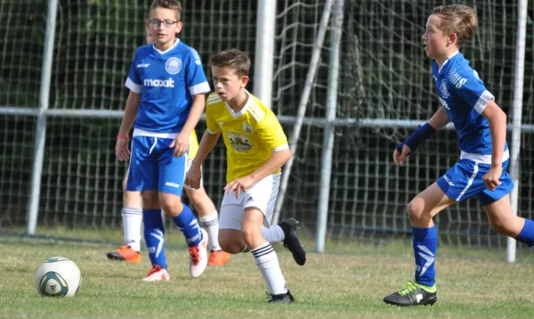 D-Junioren: FSV Schleiz - Blau-Weiß Neustadt