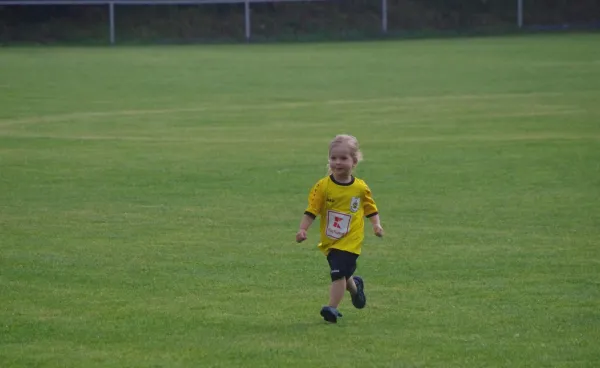 Fotos 04. ST. LK FSV Schleiz - Motor Zeulenroda