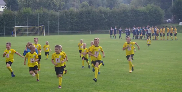 Fotos 04. ST. LK FSV Schleiz - Motor Zeulenroda