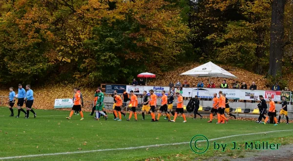 9. ST TL: FSV Schleiz - BSG Wismut Gera