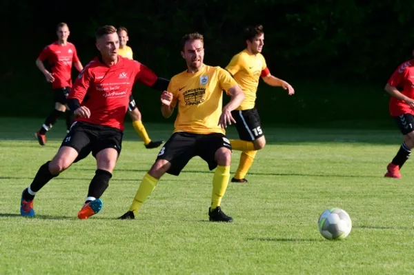 Testspiele: FSV - BSC Tauperlitz / Fortuna Plauen