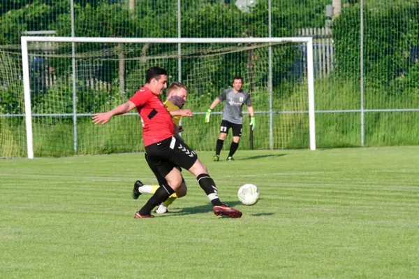 Testspiele: FSV - BSC Tauperlitz / Fortuna Plauen