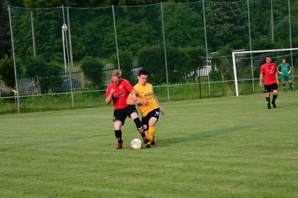 Testspiele: FSV - BSC Tauperlitz / Fortuna Plauen