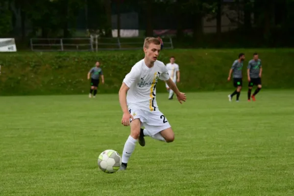 Testspiele: FSV - BSC Tauperlitz / Fortuna Plauen