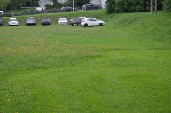 Festumzug: 725 Jahre Stadtrecht (L. Broßmann)