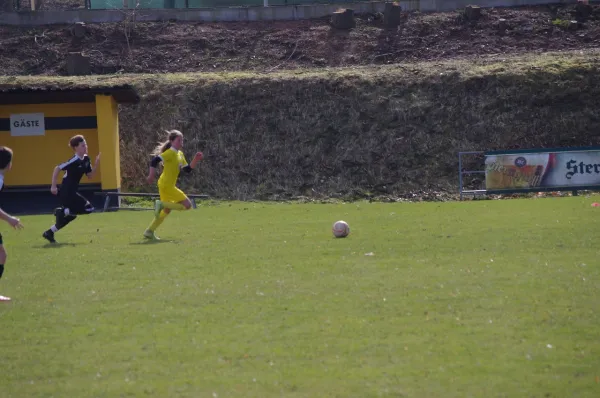 D1-Junioren: Schleiz – JFC Gera II