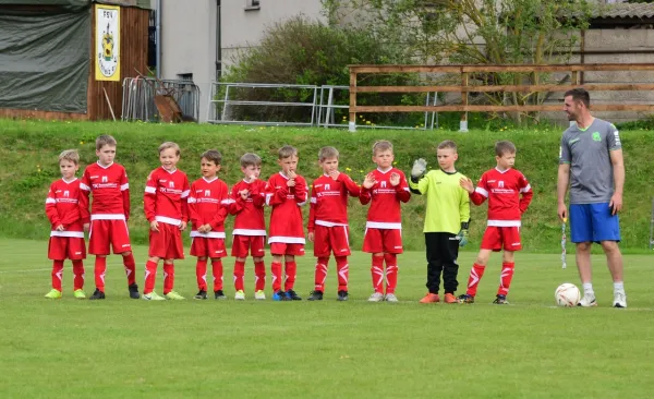 F-Jugend: FSV Schleiz - BW Neustadt (J. Müller)