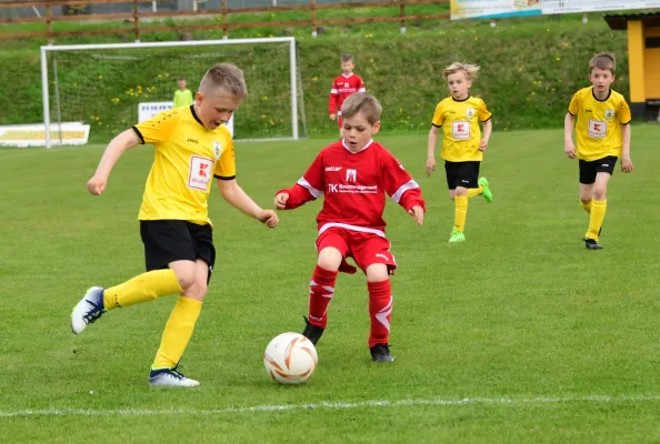 F-Jugend: FSV Schleiz - BW Neustadt (J. Müller)