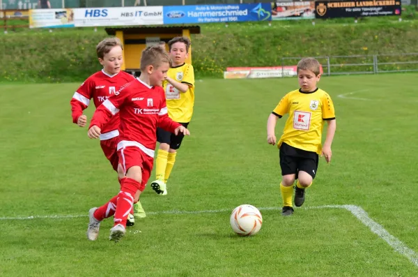 F-Jugend: FSV Schleiz - BW Neustadt (J. Müller)