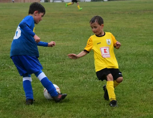 F-Jugend: FSV Schleiz - BW Neustadt II (J. Müller)