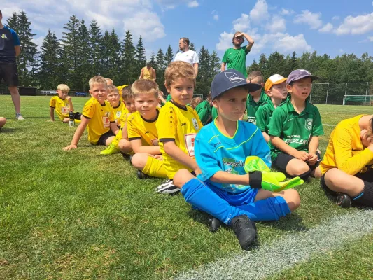 F-Jugend: Drei-Länder-Turnier in Tanna (Häußler)