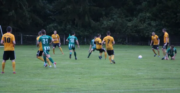 Kreisoberliga: Tanna – Schleiz (S. Pohl)