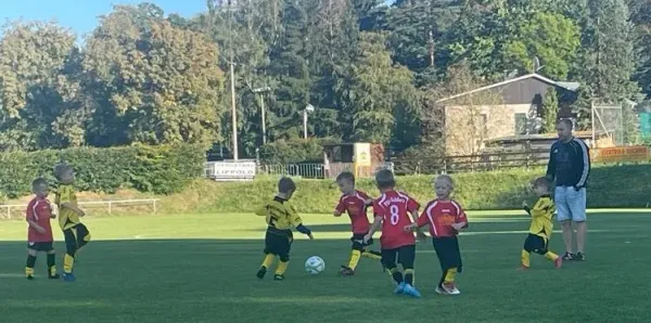 Bambini: FSV Schleiz - SV Ebersdorf