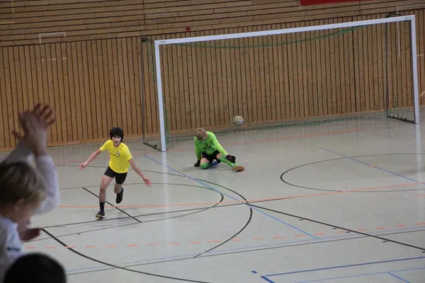 Schleizer Hallen-Cup 23/24: D-Junioren