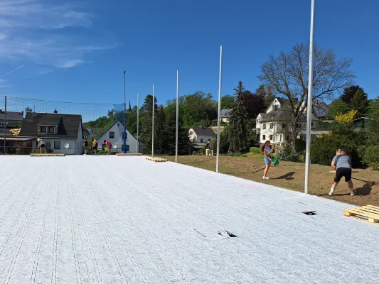 Kunstrasen-Arbeitseinsatz Mai 2024 (St. Strauß)