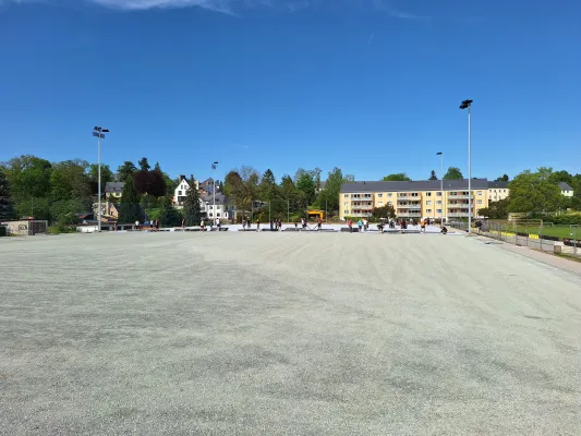 Kunstrasen-Arbeitseinsatz Mai 2024 (St. Strauß)