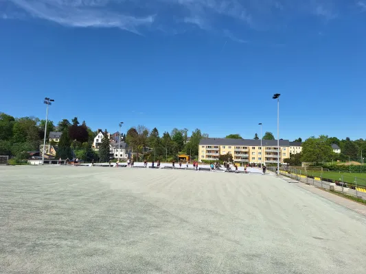 Kunstrasen-Arbeitseinsatz Mai 2024 (St. Strauß)