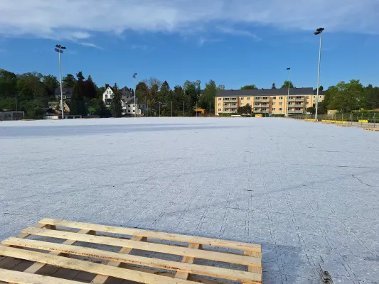 Kunstrasen-Arbeitseinsatz Mai 2024 (St. Strauß)