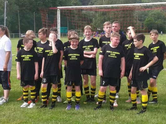 Pokalsieg 2015/16 D-Jugend