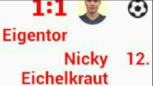 Vereinsfest FSV Schleiz 2016