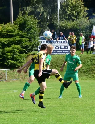 TP 25/26: Schleiz – Meuselwitz (Jü. Müller)