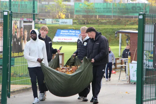 Arbeitseinsatz 'Herbstlaub' I