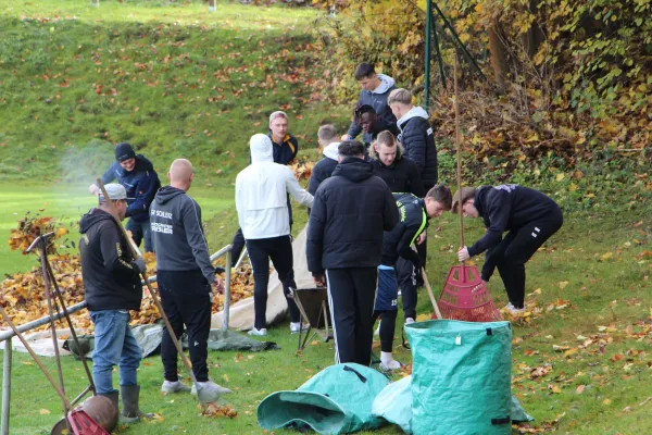 Arbeitseinsatz 'Herbstlaub' I