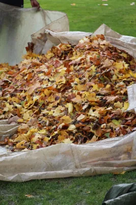 Arbeitseinsatz 'Herbstlaub' I