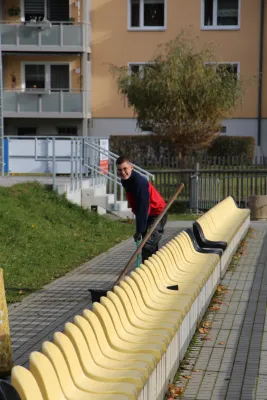 Arbeitseinsatz 'Herbstlaub' I