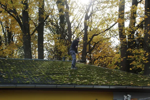 Arbeitseinsatz 'Herbstlaub' I