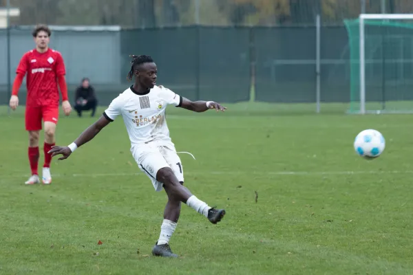 TL 25/26: SCHOTT – Schleiz (L. Narr)