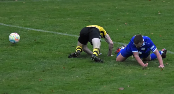 TL 25/26: Schleiz – Westvororte (K. Müller)