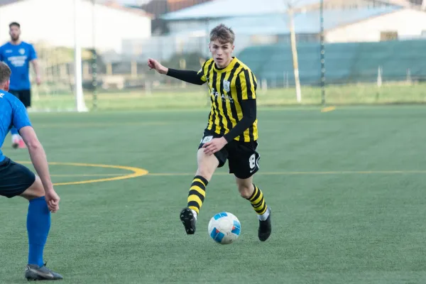 TL 25/26: Fahner Höhe – Schleiz (L. Narr)