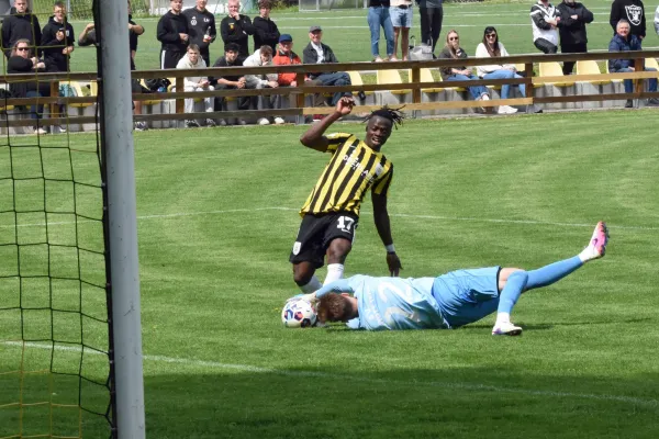 TL 25/26: Schleiz – SCHOTT (Ki. Müller)