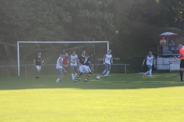 Test 25/26: Schleiz – U19 VFC Plauen (Broßmann)