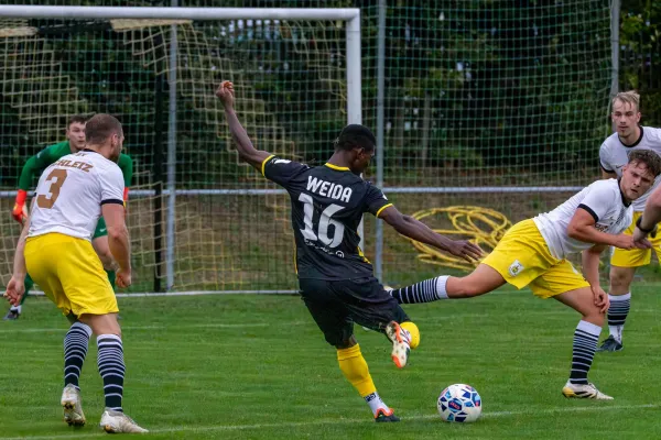 TL 26/27: Schleiz – Weida (Quentin)